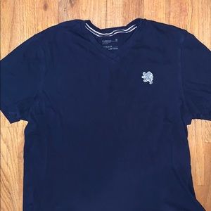 Express V-neck T